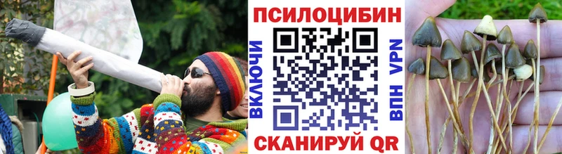 дарк нет формула  Олонец  ОМГ ОМГ ONION  Галлюциногенные грибы Psilocybe  сколько стоит 