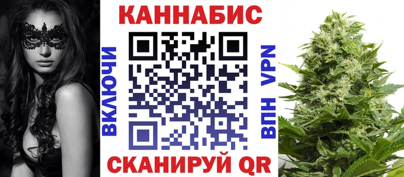 Марихуана гибрид  Олонец 